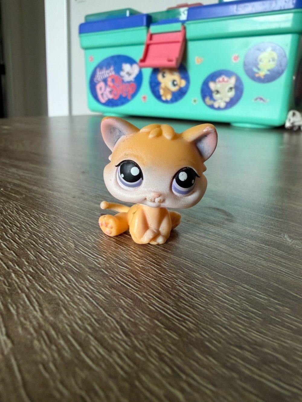 Littlest Pet Shop #114 kitten cat
